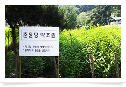 남양주 약초원1