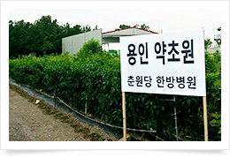 용인 약초원1