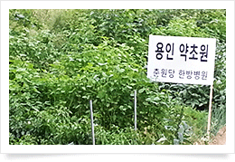 용인 약초원2