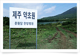 제주 약초원1