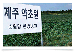 제주 약초원3